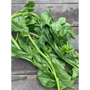 Spinach (23)-6048005-23888.webp